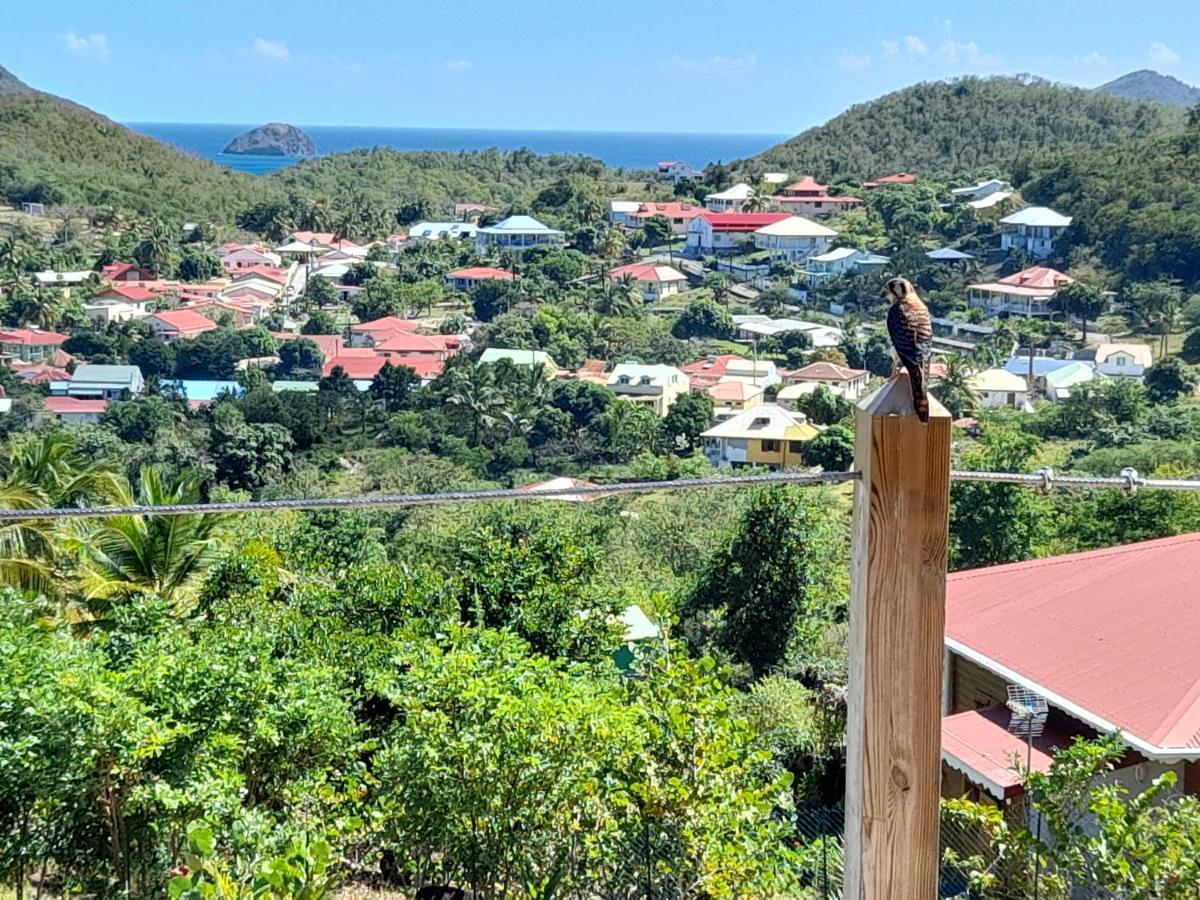 Ti Kaz Anoli Vue Epoustouflante Sur La Baie Villa Terre-de-Bas Luaran gambar