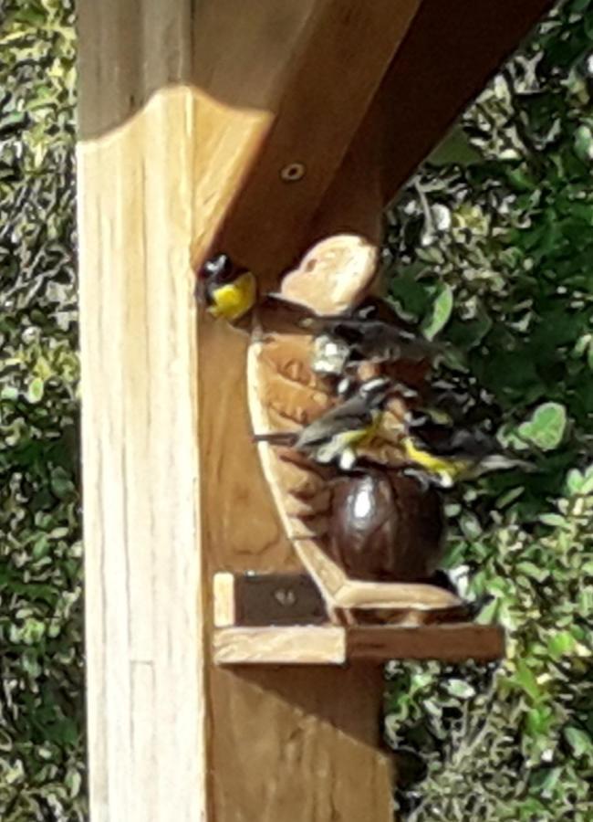 Ti Kaz Anoli Vue Epoustouflante Sur La Baie Villa Terre-de-Bas Luaran gambar